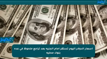 أسعار الدولار اليوم تستقر أمام الجنيه بعد تراجع ملحوظ في عدة بنوك محلية